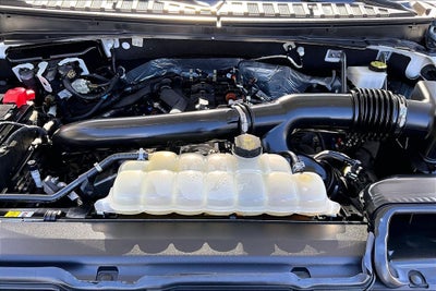 2023 Ford Expedition Timberline