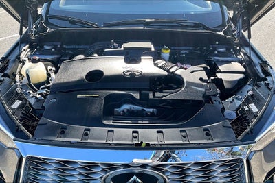 2025 INFINITI QX55 SENSORY