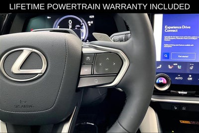 2023 Lexus RZ 450e Luxury