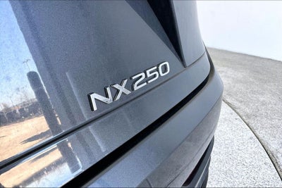 2024 Lexus NX 250