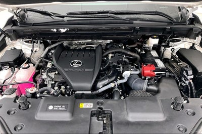 2024 Lexus NX 350 Premium