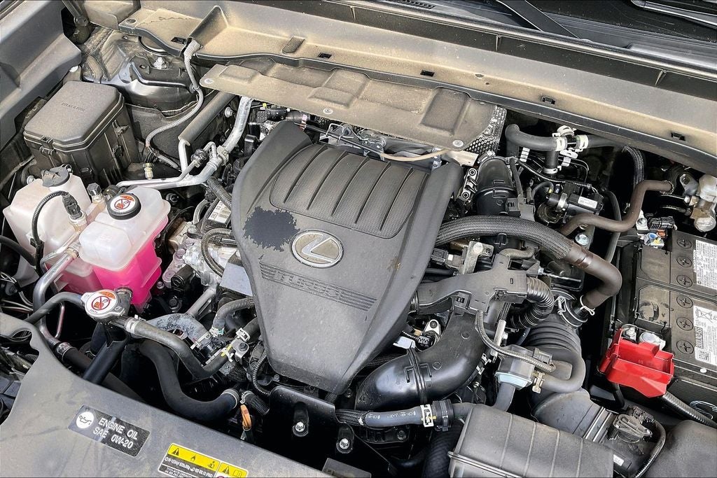 2025 Lexus TX 350 Luxury