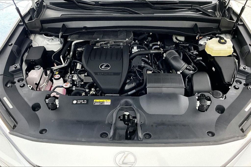 2025 Lexus TX 500h F SPORT Premium