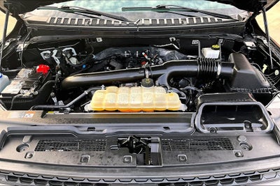 2024 Ford Expedition Timberline